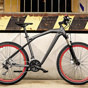2014 BMW BMW Cruise M Bike Silver, gray or bare metal