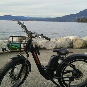 2022 Rad Power Bikes RadRover Stepthru 1 Black