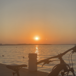 Trek Silver, gray or bare metal