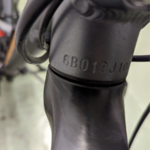 2023 Rad Power Bikes Silver, gray or bare metal