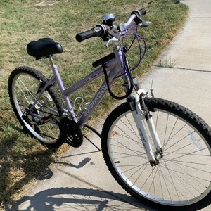 Roadmaster Granite Peak Purple