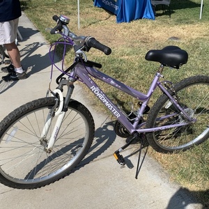 Roadmaster Granite Peak Purple