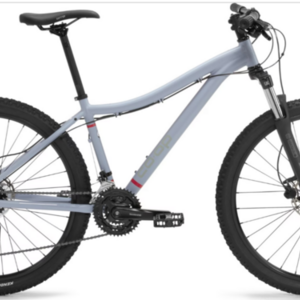 2021 REI Co-op DRT 1.1 Bi Silver, gray or bare metal