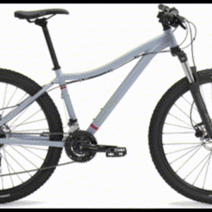 2021 REI Co-op DRT 1.1 Bi Silver, gray or bare metal