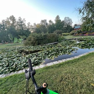 Giant Revel 2 Green and Black