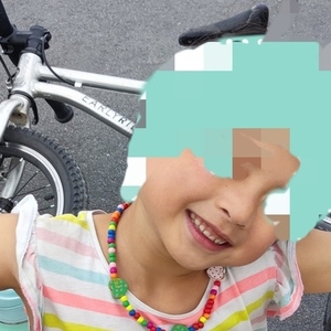 EARLY RIDER Belter 16 Silver, gray or bare metal