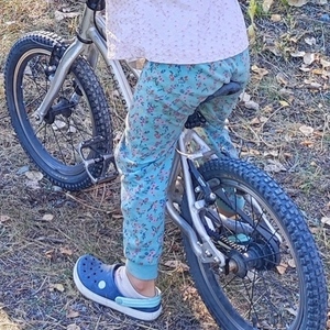 EARLY RIDER Belter 16 Silver, gray or bare metal