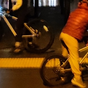 EARLY RIDER Belter 16 Silver, gray or bare metal