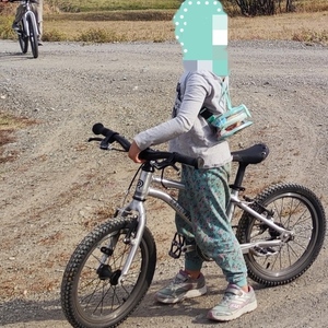 EARLY RIDER Belter 16 Silver, gray or bare metal