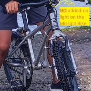 EARLY RIDER Belter 16 Silver, gray or bare metal