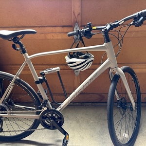2021 Giant Giant 21 Escape 2 Disc XL