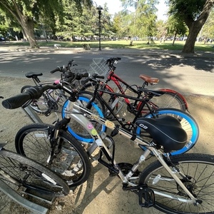 2017 Schwinn S5926WM Silver, gray or bare metal