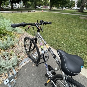 2017 Schwinn S5926WM Silver, gray or bare metal