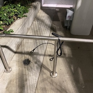 Specialized Rockhopper Comp Red