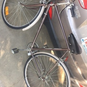 Sears Free Spirit Brown