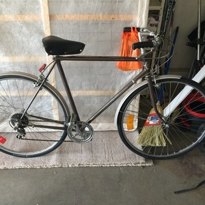 Sears Free Spirit Brown