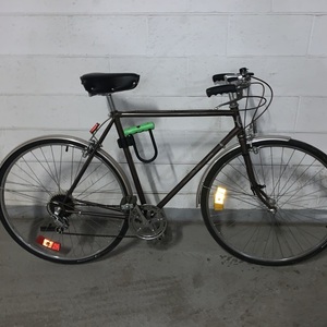 Sears Free Spirit Brown