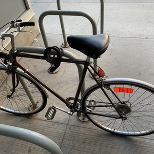 Sears Free Spirit Brown