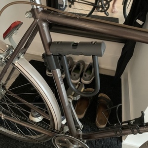 Sears Free Spirit Brown