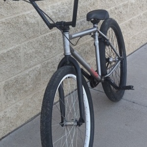 2021 Stranger Creeper Silver, gray or bare metal