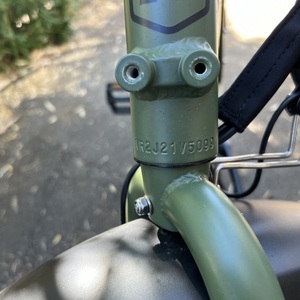 Rad Power Bikes Rad Runner 2 cargo bike (rear storage) Green