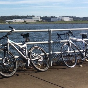 2007 Specialized Stumpjumper FSR Expert 29 Silver or Gray