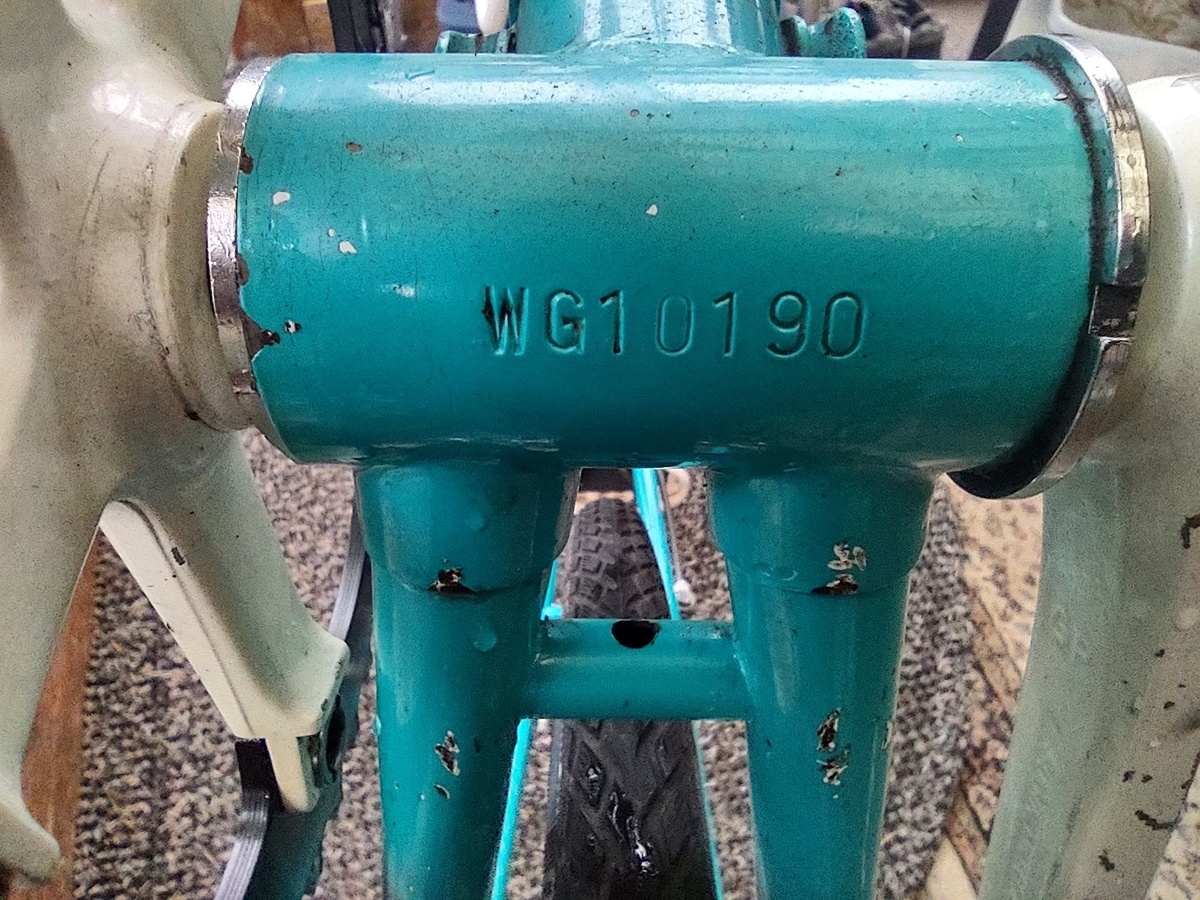 Nishiki International