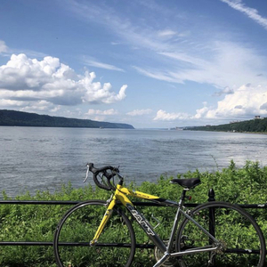 2003 Giant OCR 3 Yellow or Gold