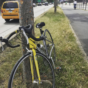 2003 Giant OCR 3 Yellow or Gold