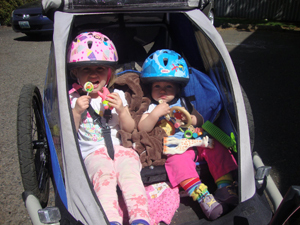 bike trailer stolen