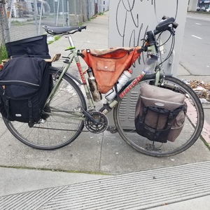 Bianchi Volpe Green and Red