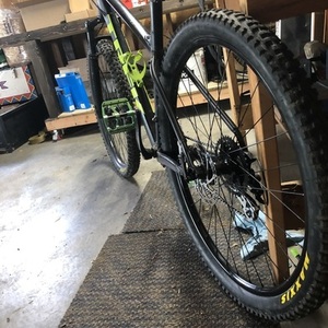 2019 Trek Marlin 6 Black and Green