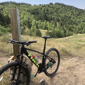 2019 Trek Marlin 6 Black and Green