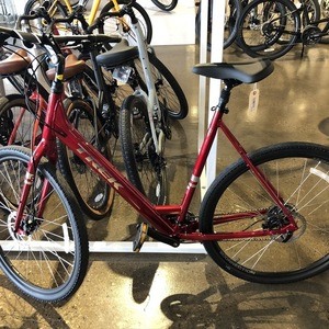 2020 Trek Verve 2 Disc Lowstep Red