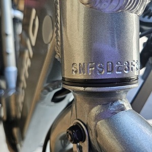 2023 Lectric eBikes XP Trike tricycle Silver, gray or bare metal