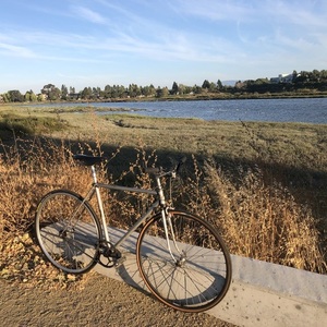 1952 Rochet Track Silver, gray or bare metal