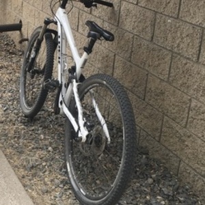 2015 Trek White
