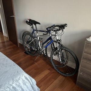 2005 KHS Bicycles KHS Team SoftTail Silver, gray or bare metal and Blue