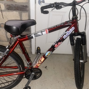 Schwinn Sidewinder Red