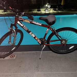 Schwinn Sidewinder Red