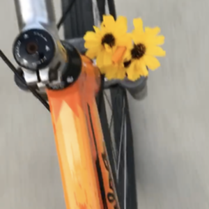 Salsa Spear - 18B Orange