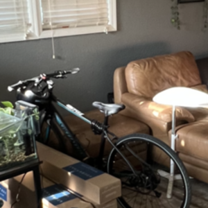 2016 Specialized Vita Black and Teal