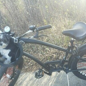 2016 Electra Straight 8 Black