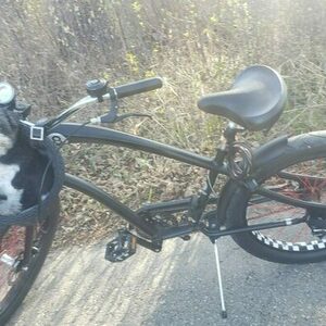 2016 Electra Straight 8 Black