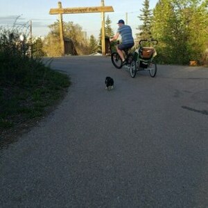 2016 Electra Straight 8 Black