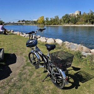 2023 Brinks Locks 6061 aluminum alloy body, beautiful s... Silver, gray or bare metal and Black