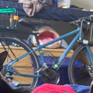 2023 REI Co-op CTY 1.1 Blue