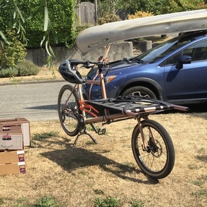 2020 Omnium Cargo Pink