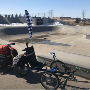 2017 Terra Trike The Rover Brown