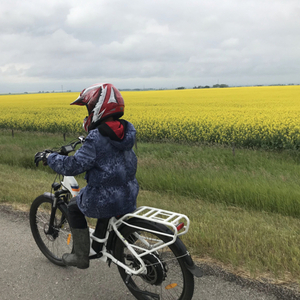 2018 Rad Power Bikes Rad City Step thru White